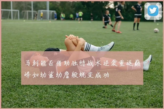 马刺能否借助独特战术逆袭重返巅峰如幼鲨幼詹般蜕变成功