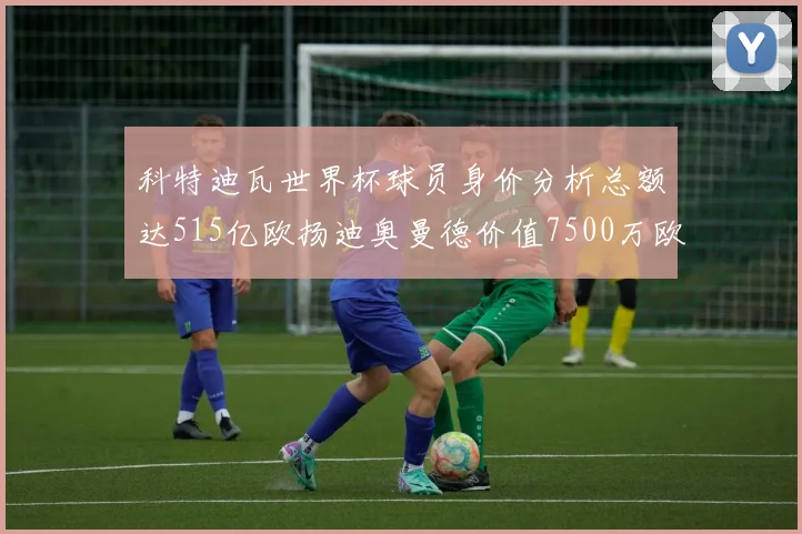 科特迪瓦世界杯球员身价分析总额达515亿欧扬迪奥曼德价值7500万欧